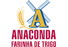Parceiro anaconda